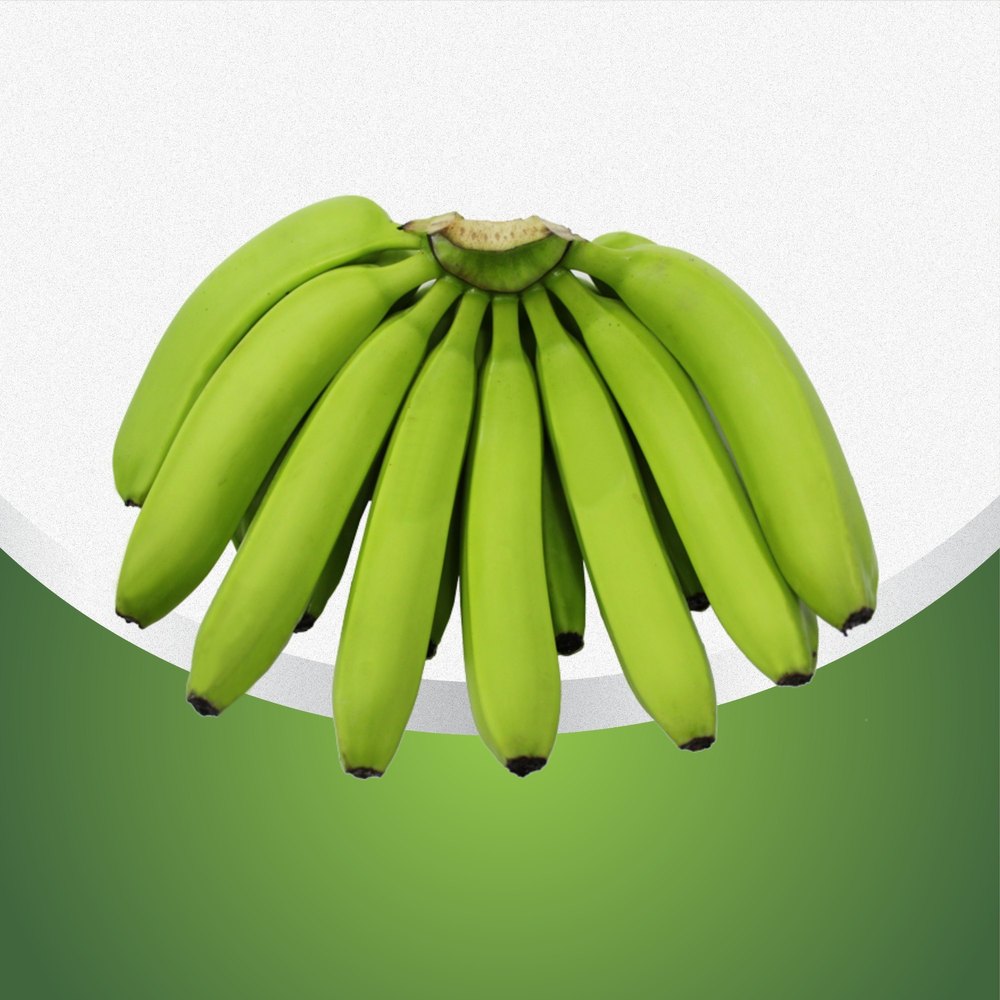 A Grade G 9 Banana