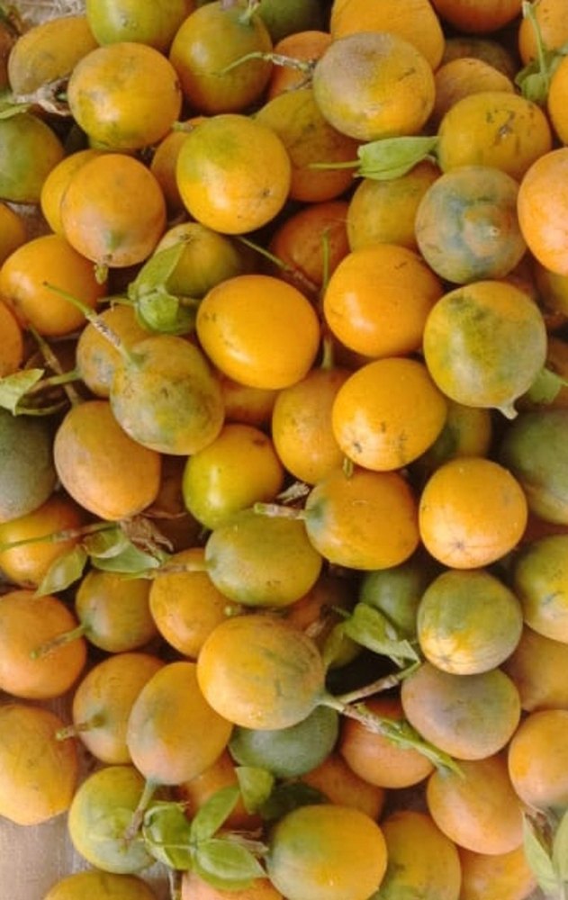 A Grade Papaya Passion Fruit, Packaging Type: Carton, Packaging Size: 15 kg