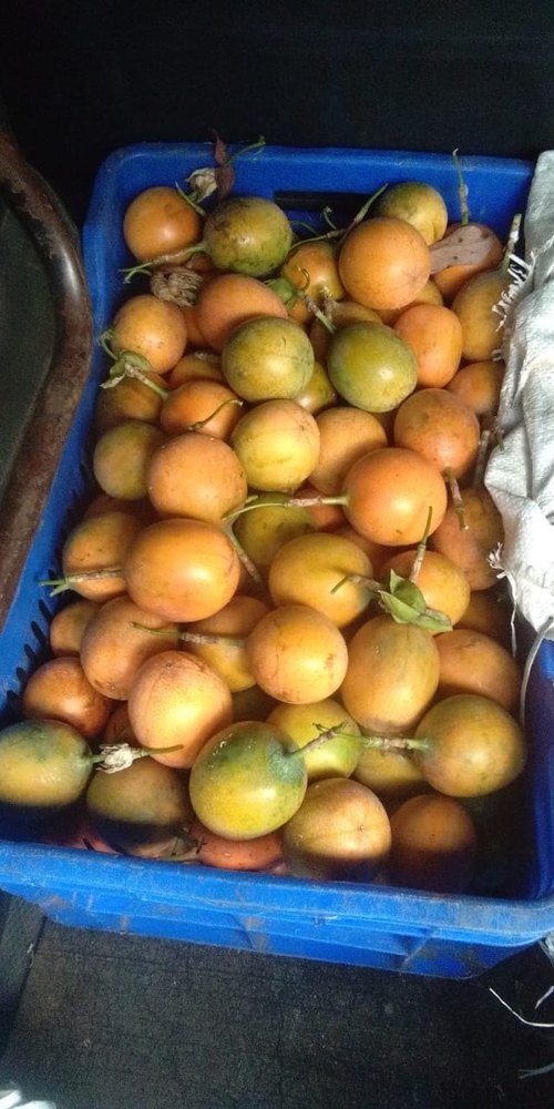 Organic A Grade Passion Fruit, Packaging Type: Carton, Packaging Size: 10 Kg