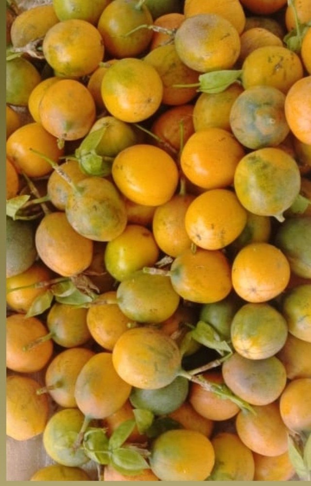 Organic Passion Fruit, Packaging Type: Carton, Packaging Size: 1 Kg