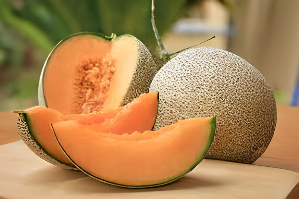 A Grade Fresh Muskmelon Fruit