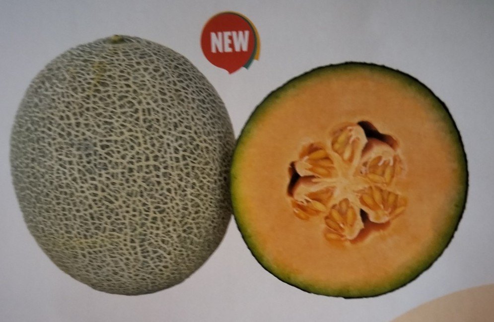 A Grade Muskmelon Aaliya 10 gm, Packaging Type: pouch