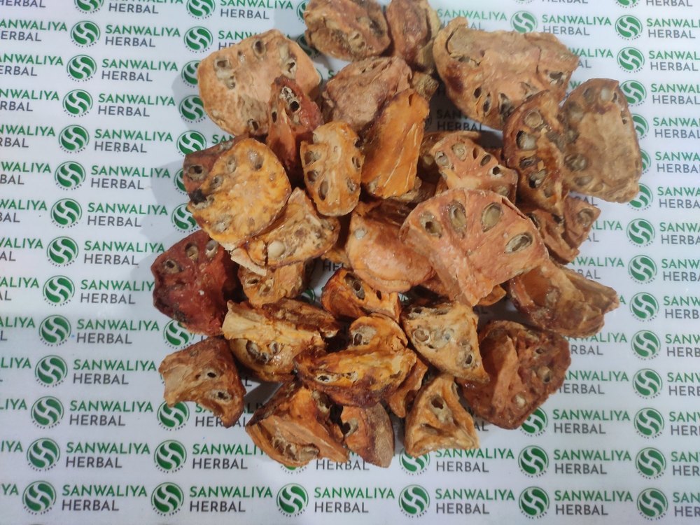 Sanwaliya Herbal Bael Guda Belgiri Aegle Marmelos, A Grade