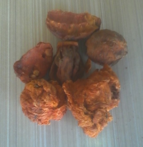 Aegle Marmelos