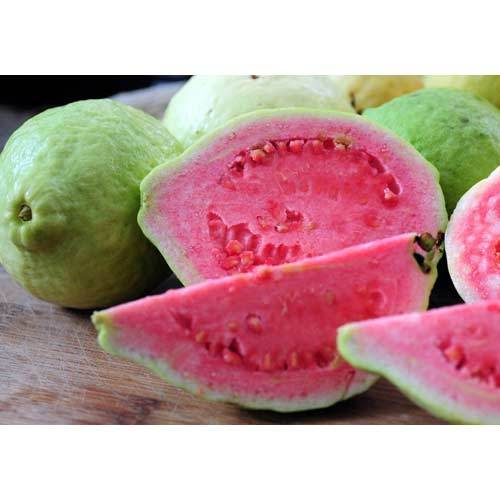 India Pink Guava, Packaging Type: Carton