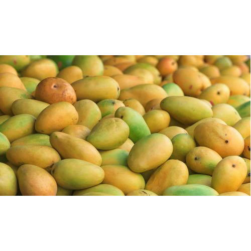 Fresh Mangoes