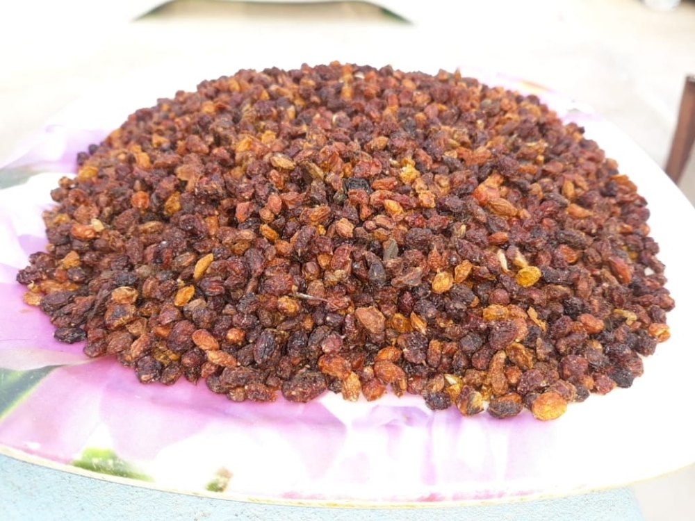 A Grade Sea Buckthorn Berry, Packaging Type: Carton, Packaging Size: 5 Kg
