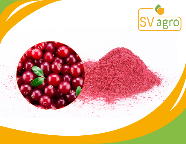 SV Agro Red Cranberry Extract Powder, Packaging Type: Pp Polybags, Hdpe Drums