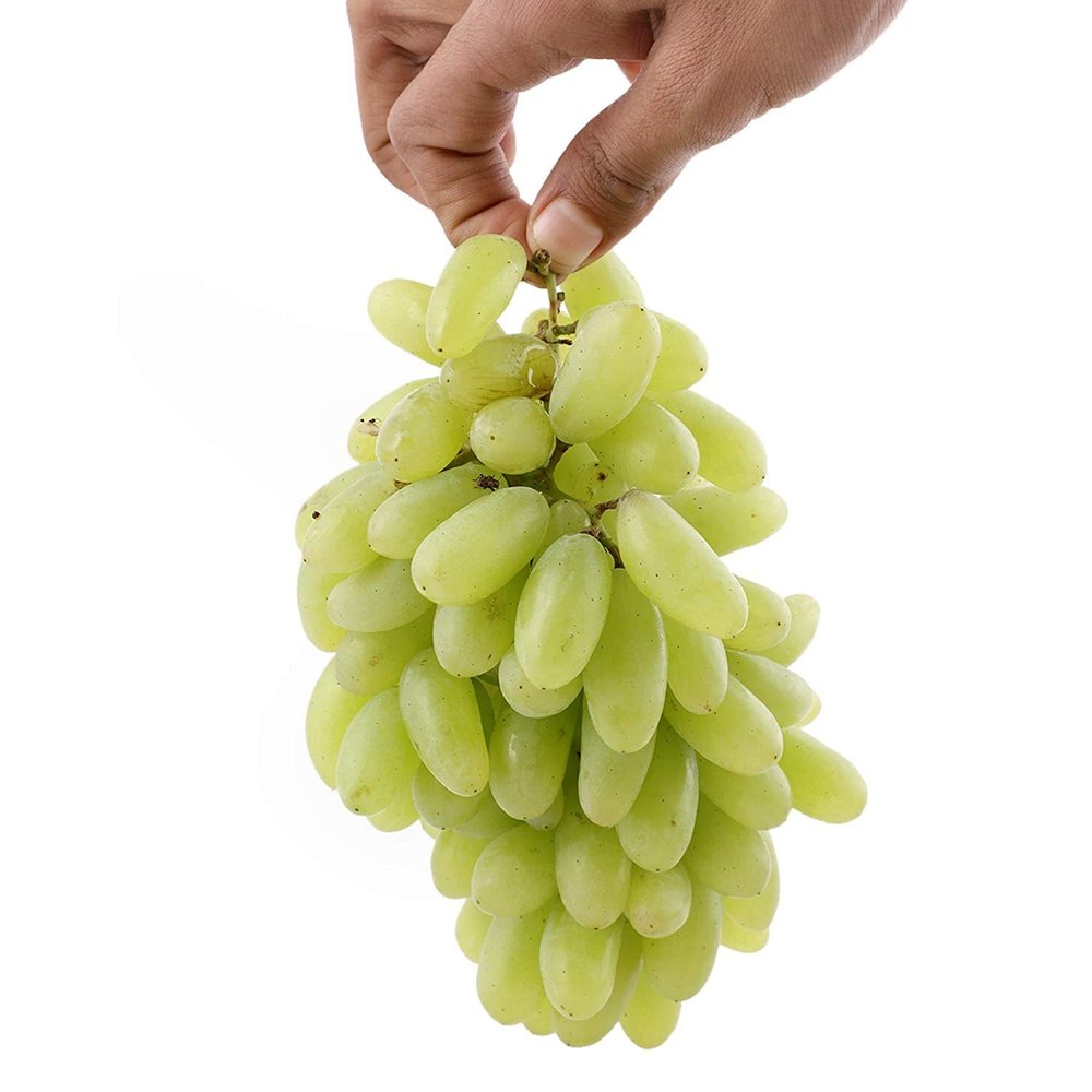 Fresh Green Grapes, For Human Consumption