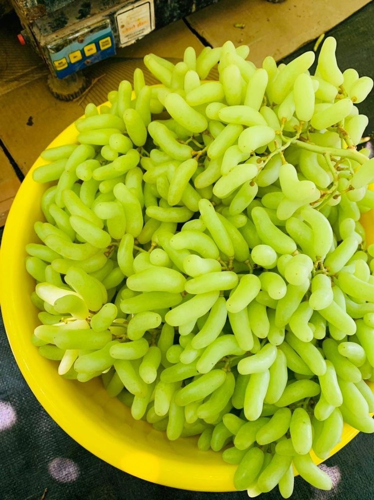 A Grade Fresh Green Grapes Fruit