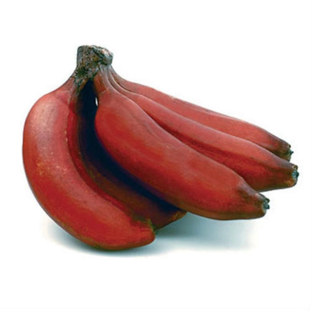 A Grade Red Banana