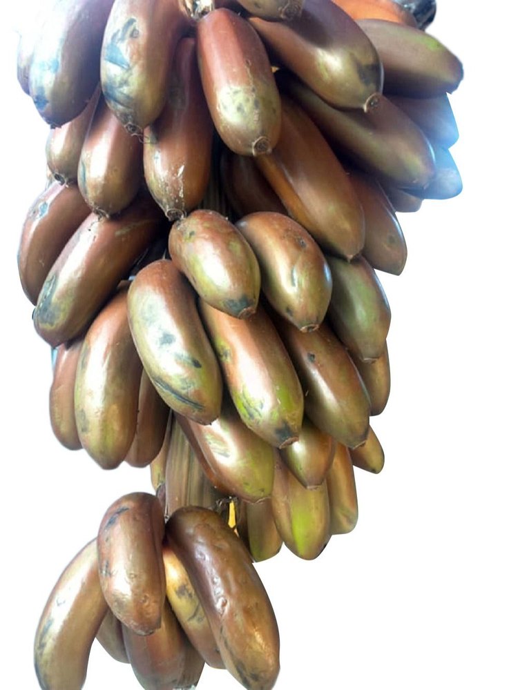 A Grade Red Banana, Packaging Type: Loose