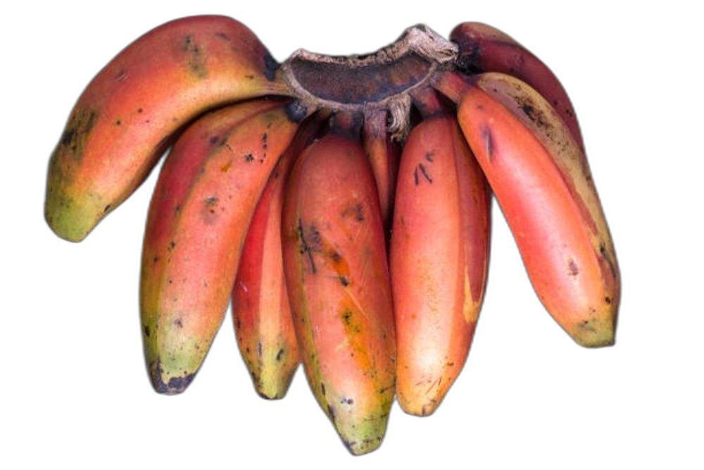 B Grade Organic Fresh Red Banana, Packaging Size: 10 Kg