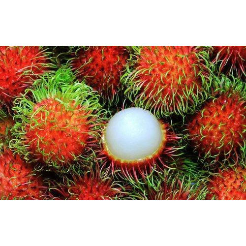 Fresh Rambutan