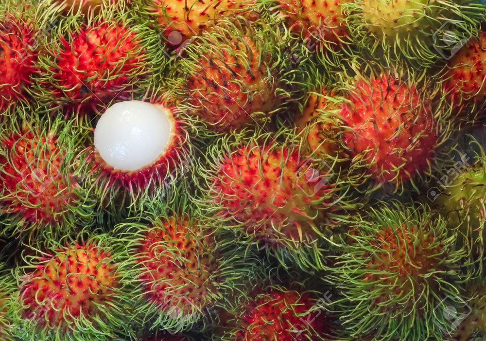 A Grade 25kg Rambutan Fruits, Packaging Type: Loose