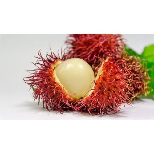 A Grade Fresh Organic Rambutan, Packaging Size: 5 Kg, Packaging Type: Carton