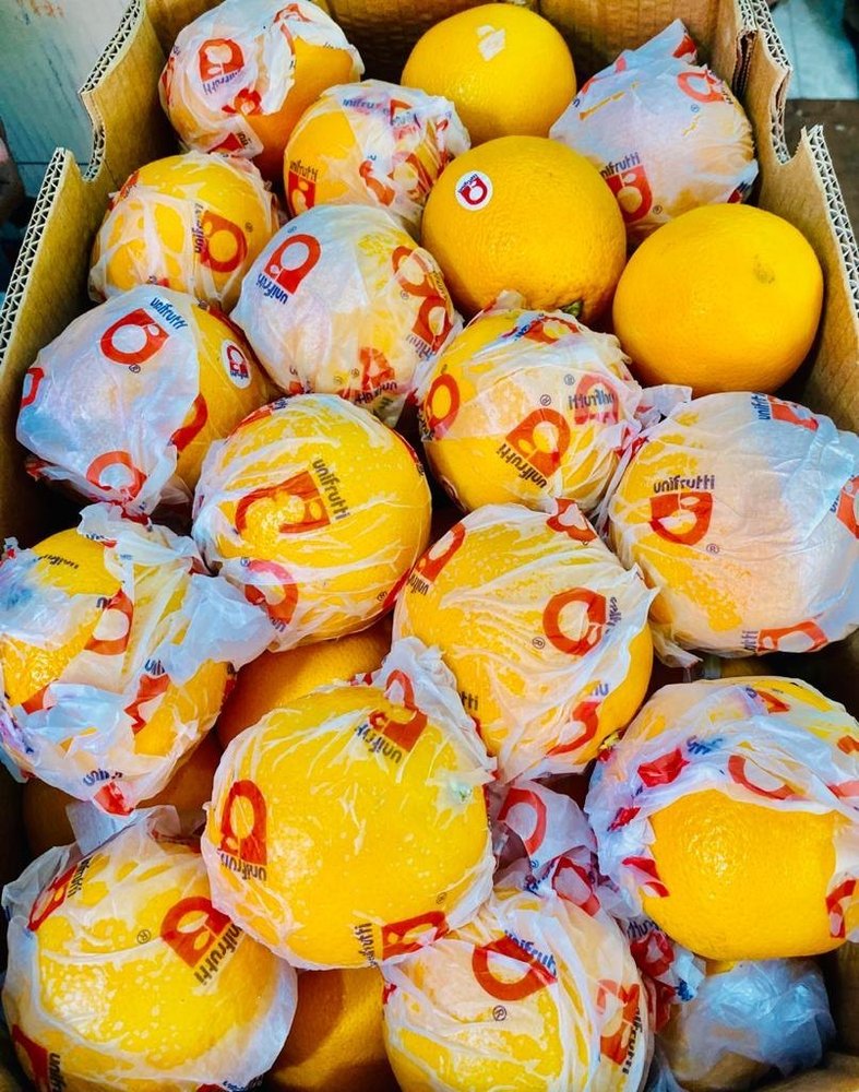 A Grade south africa Fresh Malta, Packaging Size: 10 Kg, Packaging Type: Carton