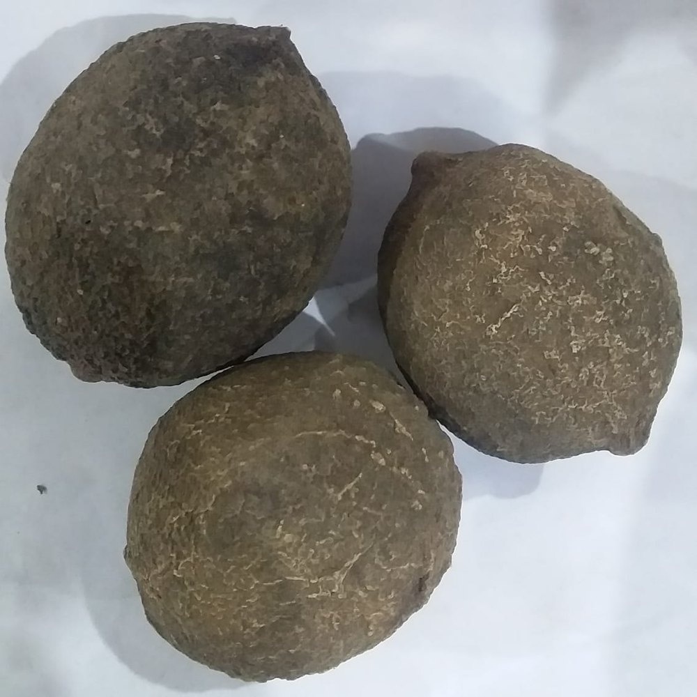 A Grade GUJARAT BIJORA, Packaging Size: 100GM, Packaging Type: Plastic Bag
