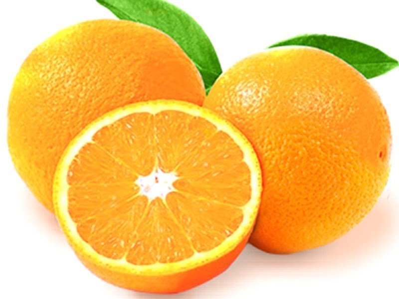Orange A Grade Fresh Citrus Fruits, Packaging Size: 20 Kg, Packaging Type: Carton