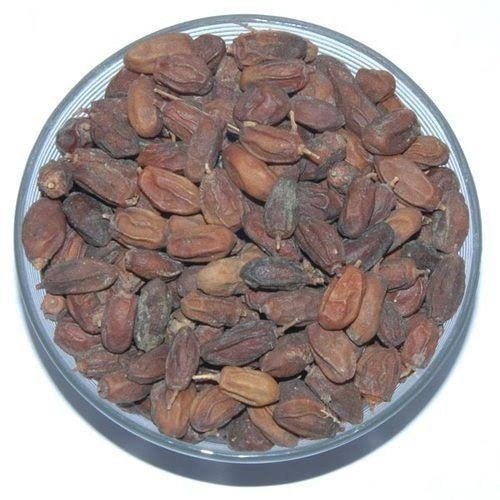Solid Natural Neem Fruit, Grade Standard: Bio-Tech Grade, Packaging Size: 50kg
