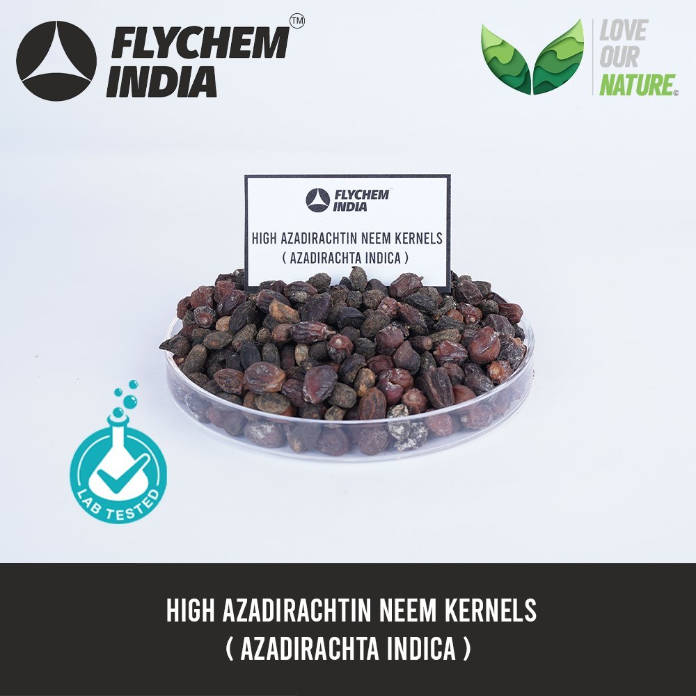 Natural High Azadirachtin Neem Kernels, PP Bag, 50 kg