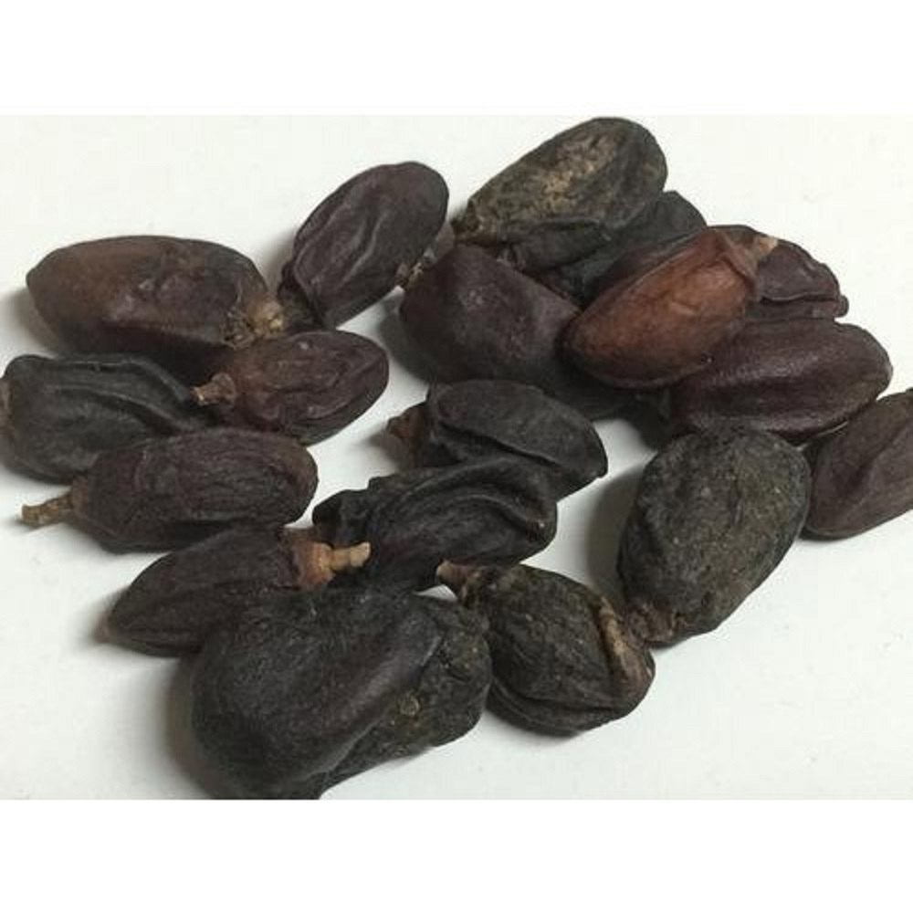 A Grade Neem Dry Fruits, Packaging Type: Packet, Packaging Size: 400 Gm