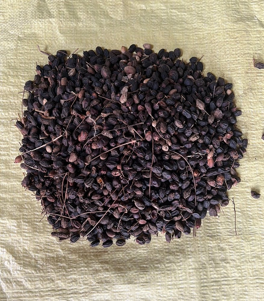 Neem Fruit, Packaging Size: 50kg