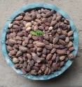 Nimboli (Neem Ki Nimboli), Packaging Type: Jute Bag