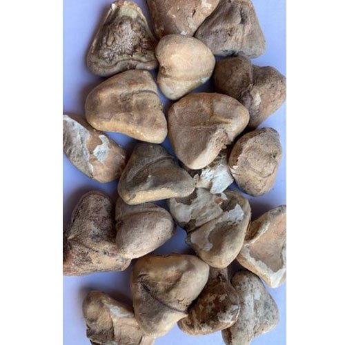 Dried Chestnut, Packaging Type: Jute Bag, Packaging Size: 5 Kg