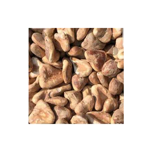 Dried Chestnut