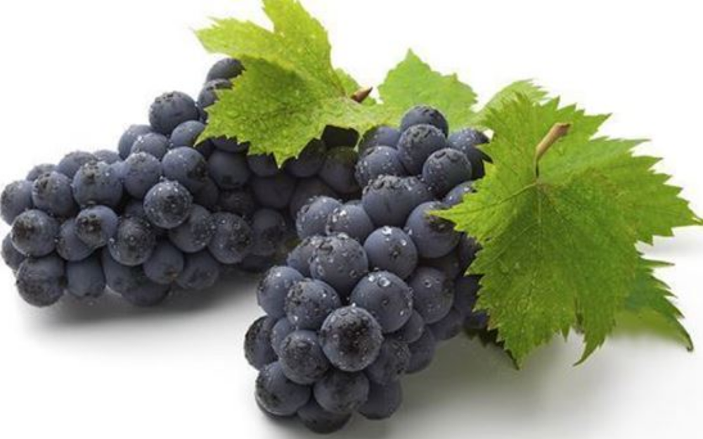 Black Seedless Grapes (Sharad)