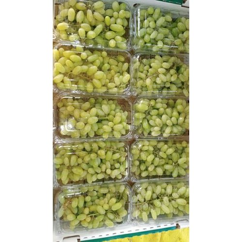 A Grade Thompson Seedless Grapes