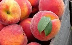 Farm Fresh Peach