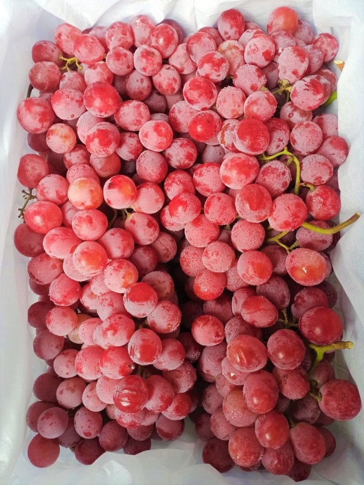 A Grade Fresh Red Globe Grape, Packaging Type: Plastic crate, Packaging Size: 7kg