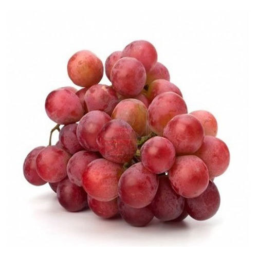 Redagro International Export Red Globe Grape