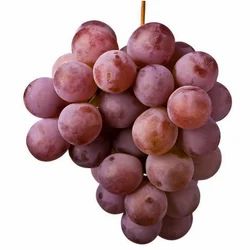 Heramb Group Red Globes Grapes
