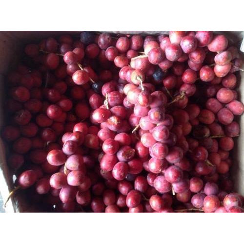 Organic Red Grapes
