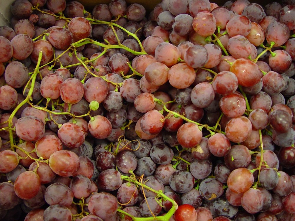 A Grade Red Globe Grape