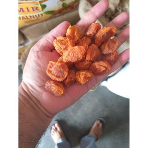 A Grade Apricots 1.5 Number, Packaging Type: Carton