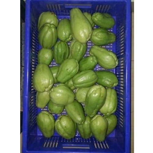 A Grade Chayote Tropical Fruit, Packaging Type: Carton, Packaging Size: 5 Kg