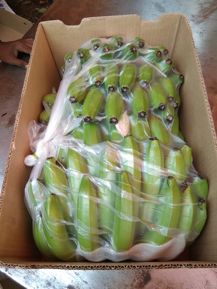 A Grade fresh cavandish banana