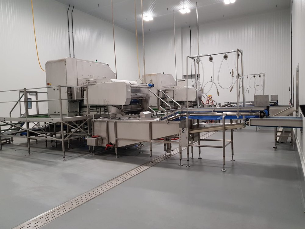 Pomegranate Arils Extraction And Cup Packing Line