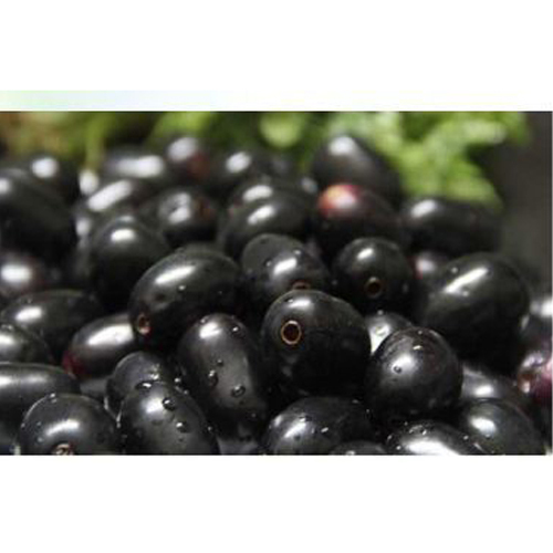Fresh Black Plum