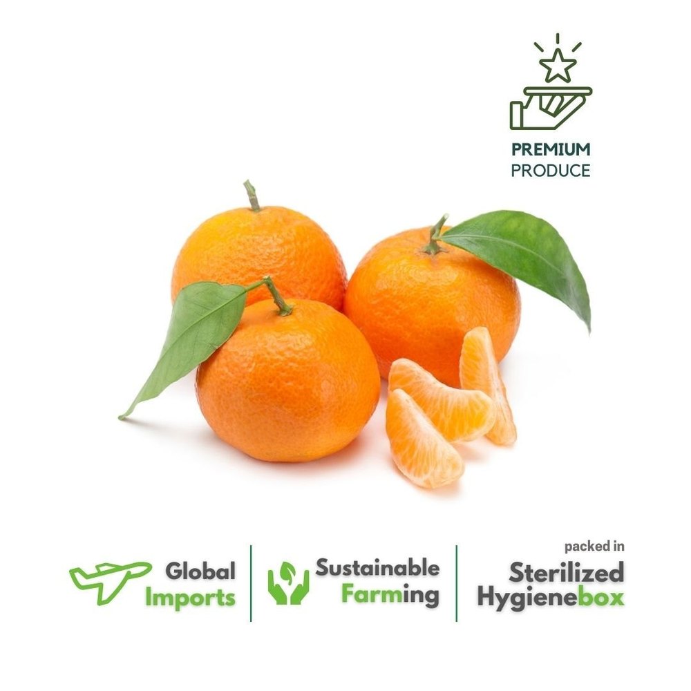 A Grade Honeydew Melons, Packaging Type: Gunny Bag, Packaging Size: 1