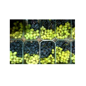 Table Grapes