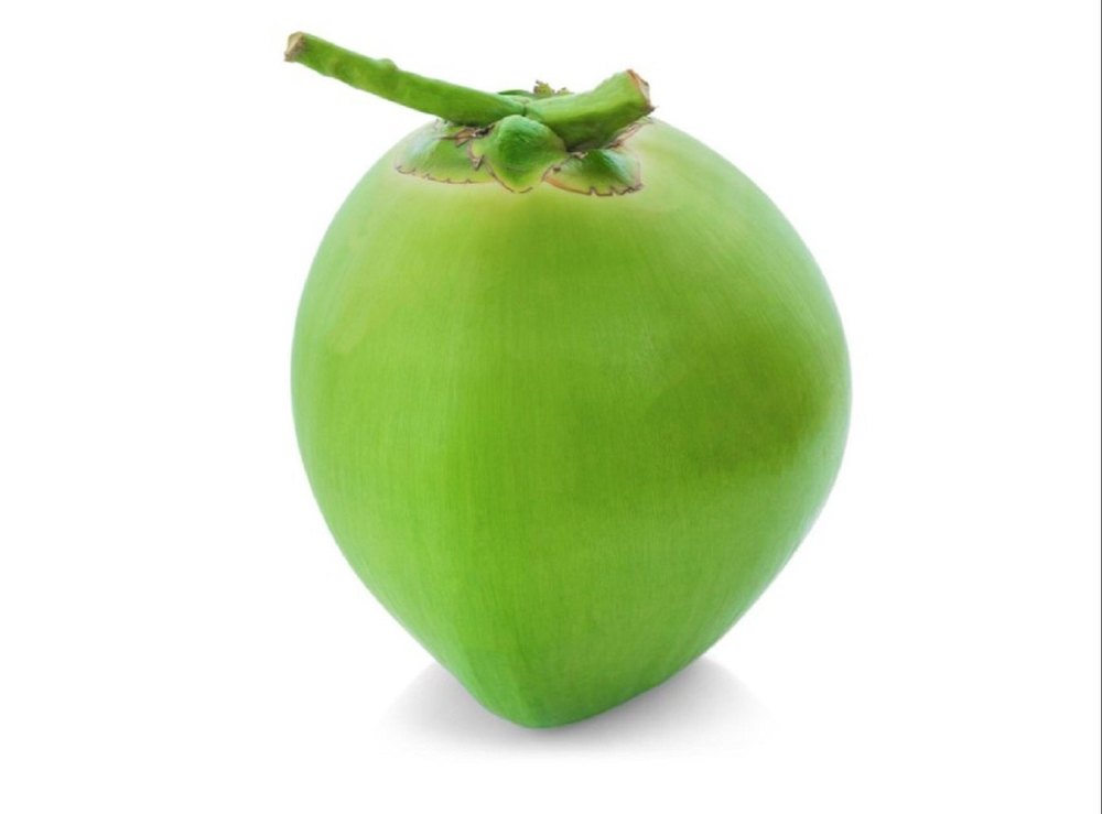 A Grade Solid Fresh Green Coconut, Coconut Size: 10 Inch