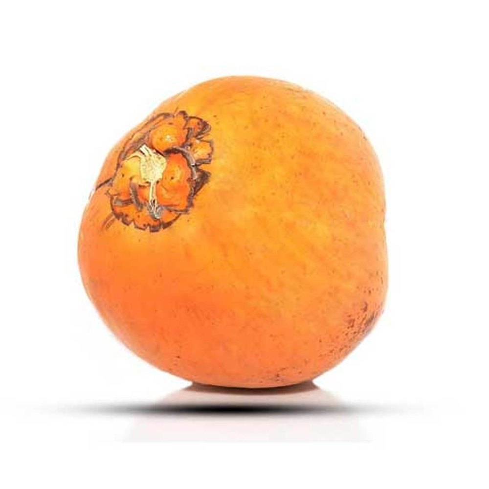 A Grade Solid Orange Tender Coconut, Packaging Size: 50 Kg