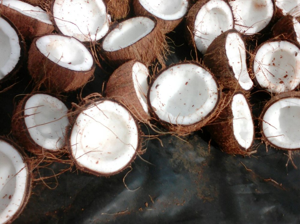 Husk Coconut