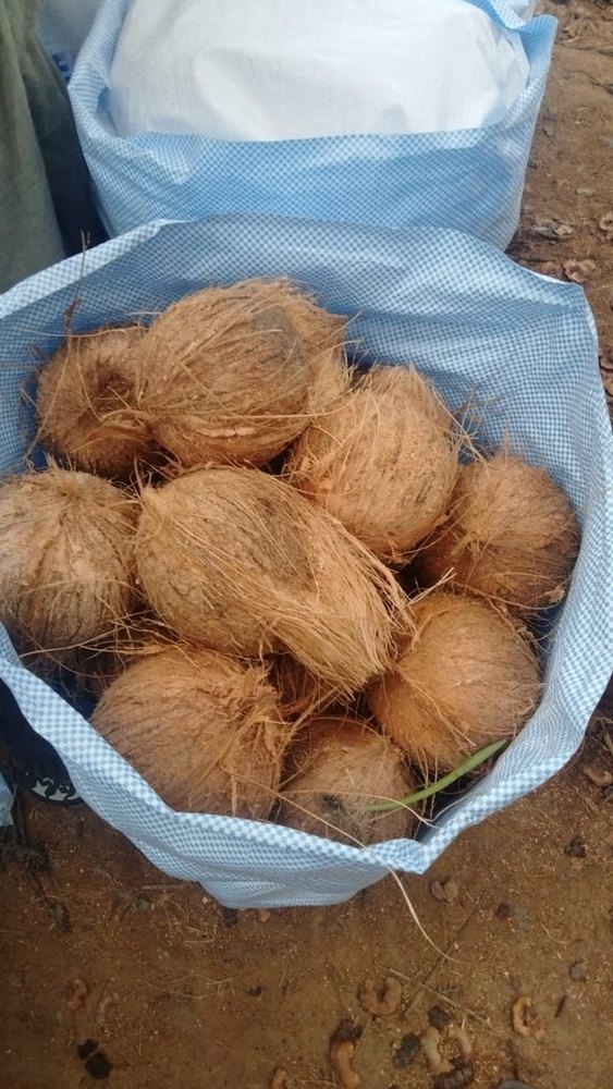 A Grade Tamilnadu Semi Husked Coconut, For Temple, Hotels & Home Usage, Packaging Size: 50 Kg