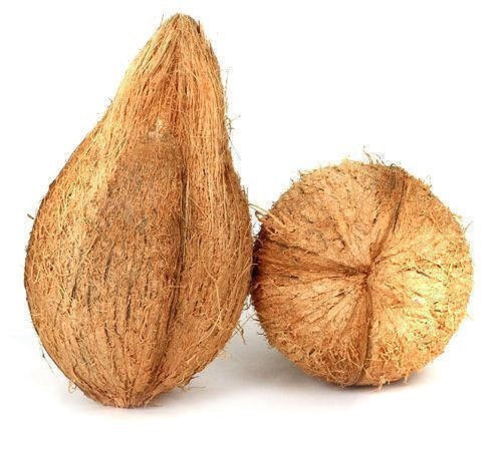 B Grade Semi Husked Coconut, Coconut Size: Large